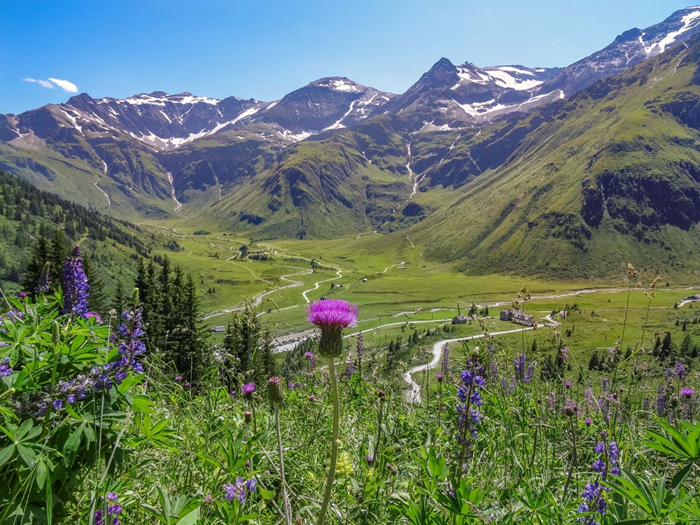 Sommerurlaub in Gastein